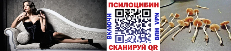 Галлюциногенные грибы ЛСД  где продают наркотики  Рузаевка 